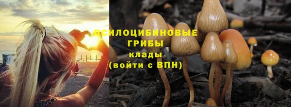 круглые Абинск