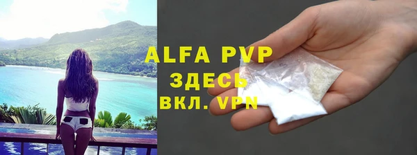хмурый Абаза