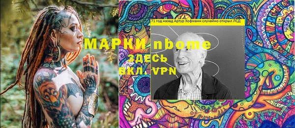 хмурый Абаза