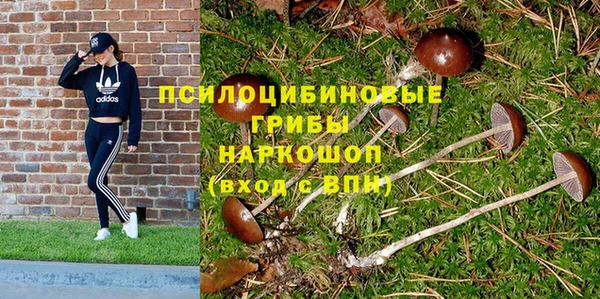 хмурый Абаза