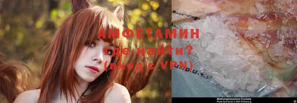 хмурый Абаза
