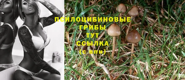 круглые Абинск
