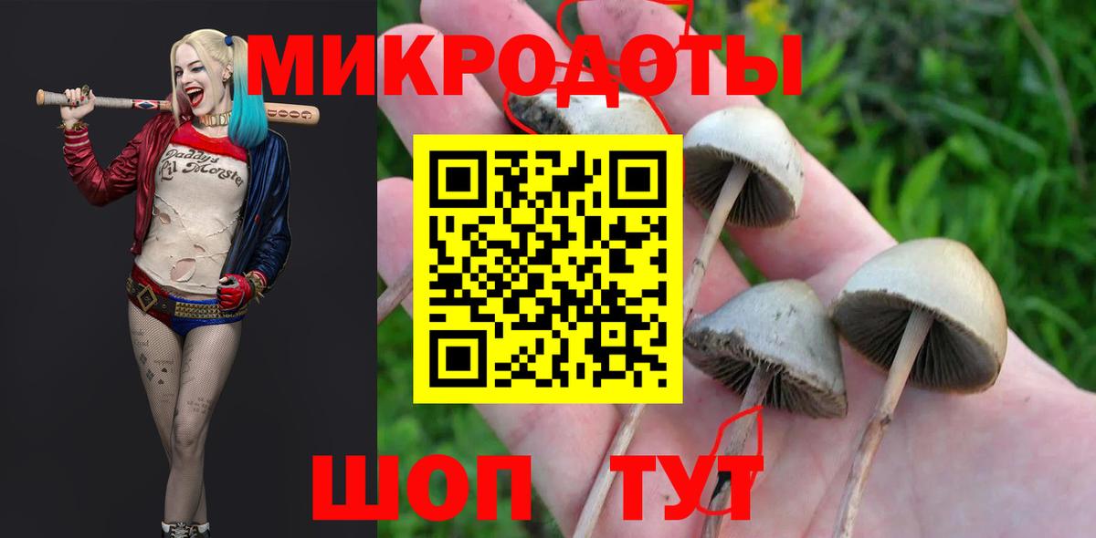 Галлюциногенные грибы Cubensis  Галлюциногенные грибы мухоморы  Вход с VPN  Салават 